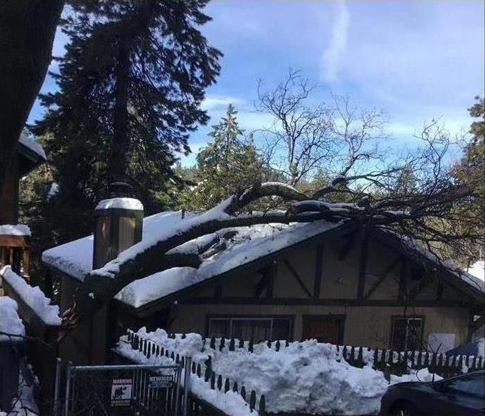 Neighbors tree fell over on a homeowner's roof