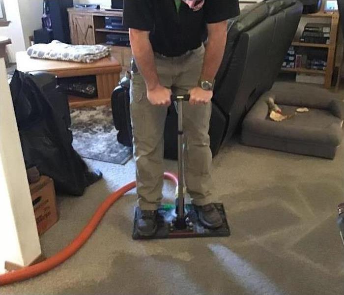 Water extraction on carpet by Servpro employee in residential home.