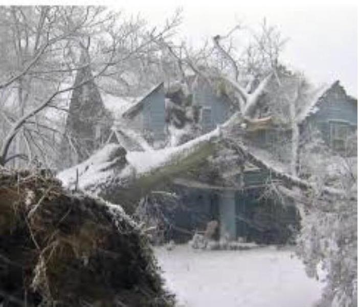 Snow storm and large tree fell on top of house