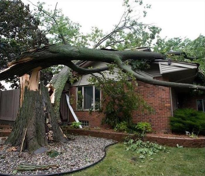 Large tree fell on Brick house 