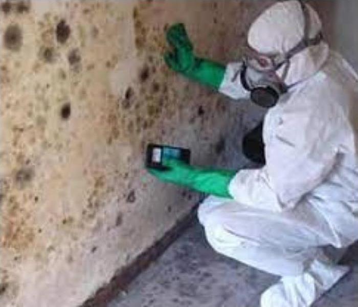 SERVPRO Tech in PPE on Mold Job 