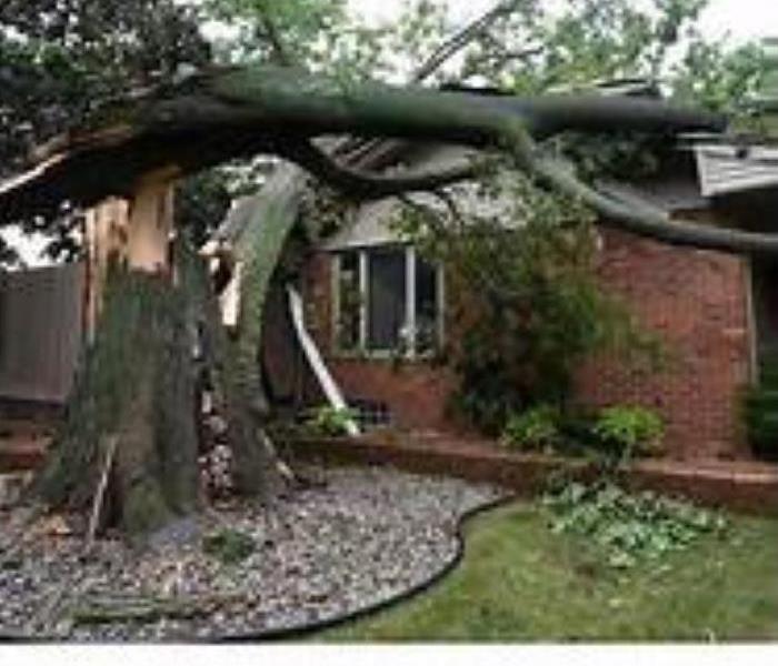 tree fell on side of house showing